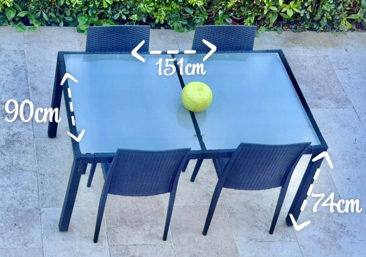 Vend table SANS LES CHAISES en verre et osier