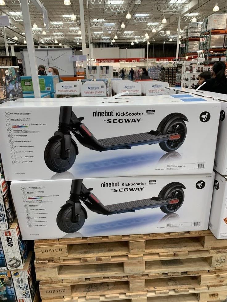 Segway Ninebot Max G3