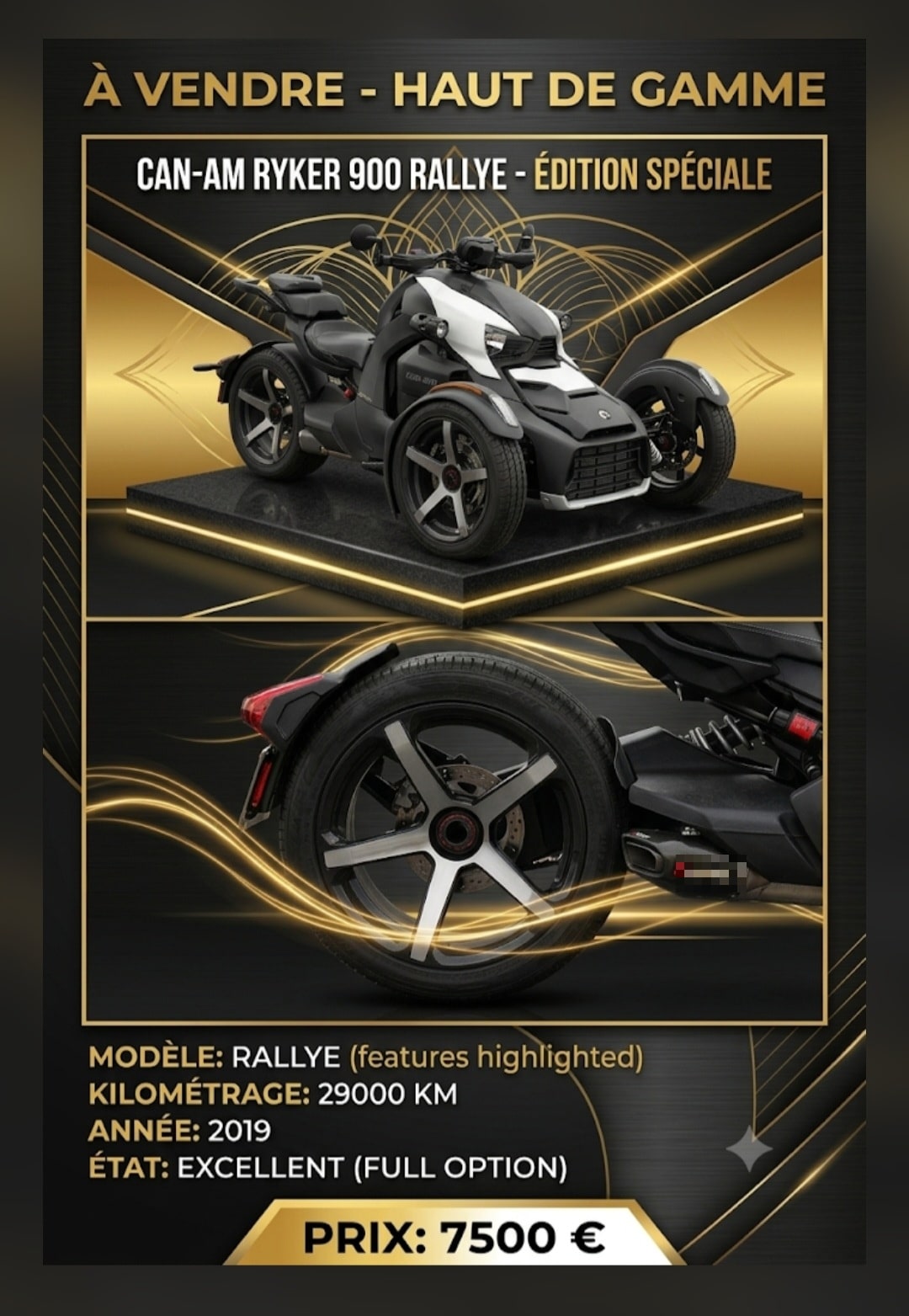 Can am ryker 900 rally