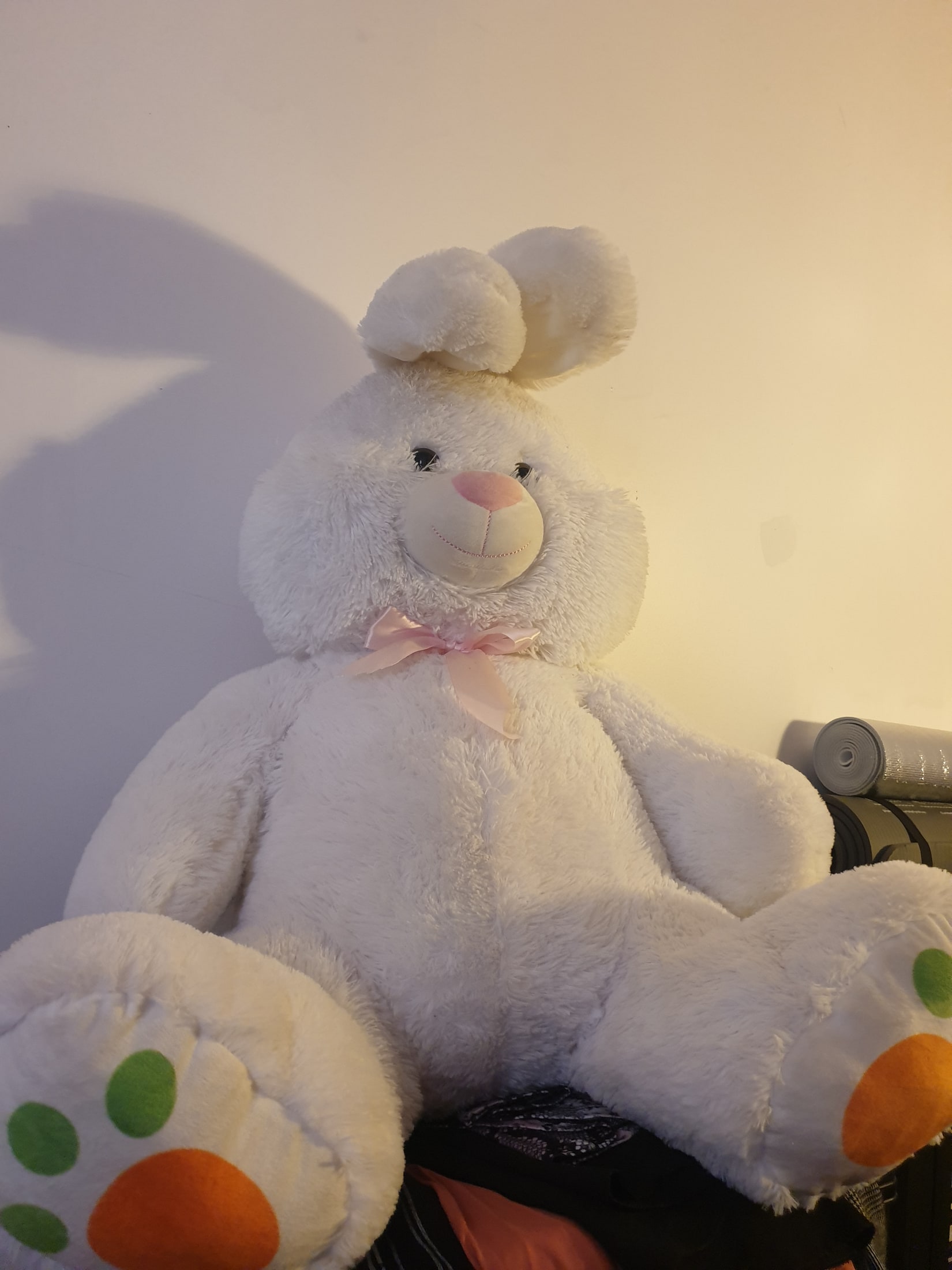 Peluche